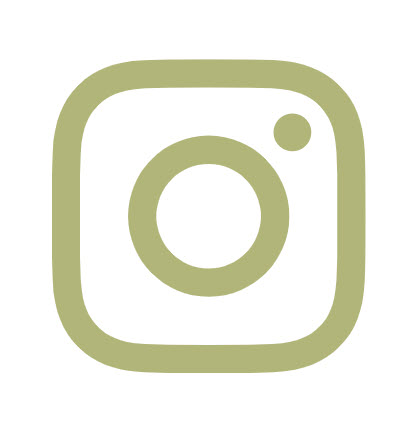 Instagram Icon - debtor financing
